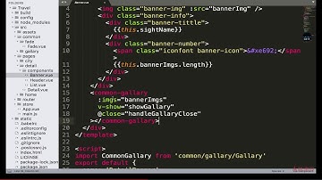 Vue2 5开发去哪儿网App 从零基础入门到实战项目 9 7