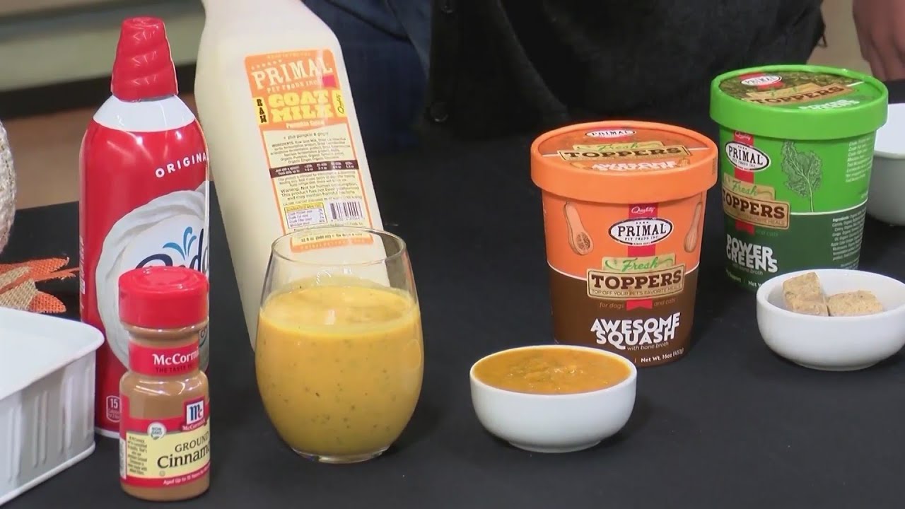 Healthy Food Options for Your Pet at Pet Supplies Plus YouTube