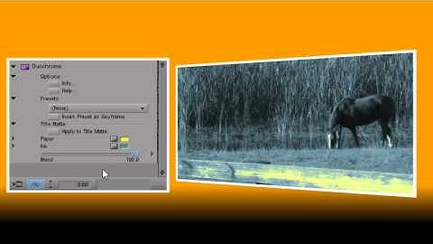 Duochrome Tutorial for Avid Media Composer