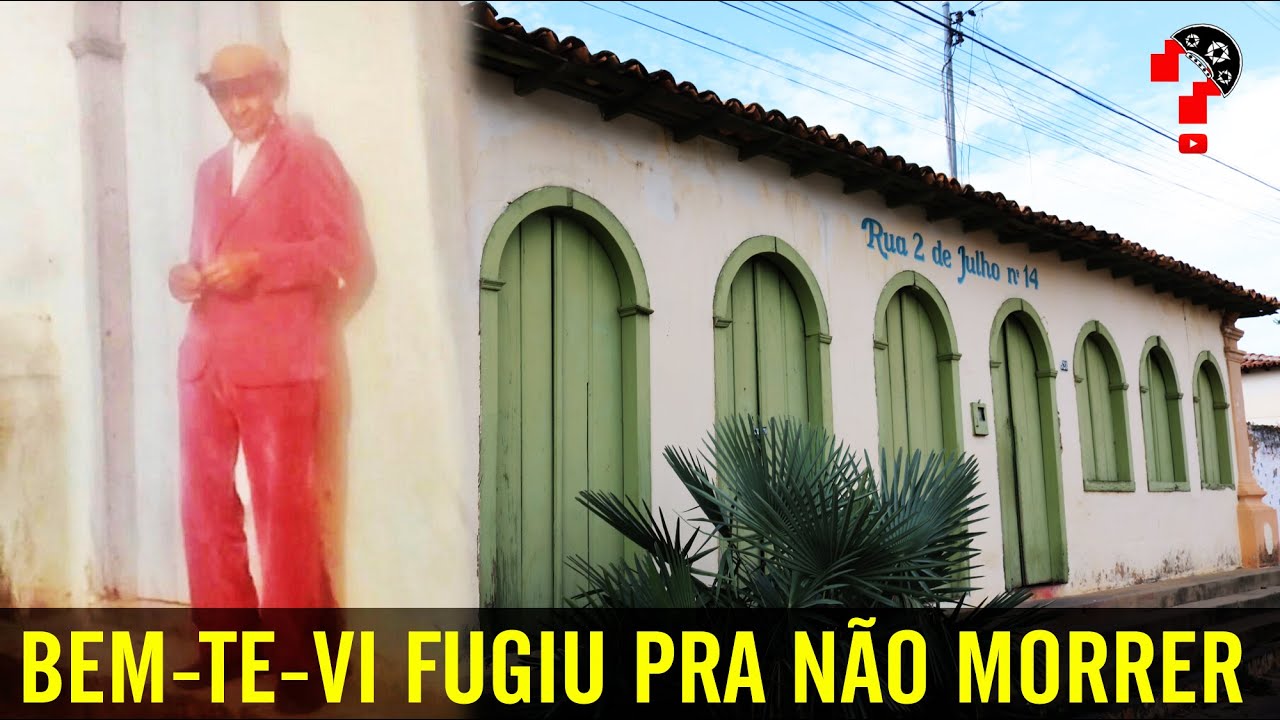 BEM-TE-VI FUGIU PRA NÃO MORRER | CNL | 535