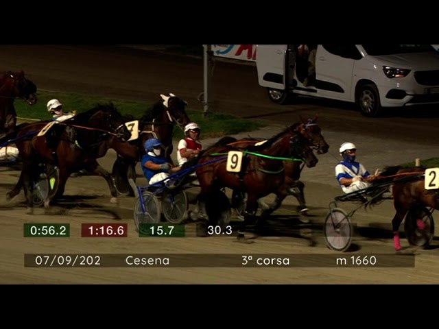 2024 09 07 | Corsa 3 | Metri 1660 | Premio Food Service - Trofeo Gentlemen for Life
