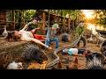 72 Hours Of Terror: Giant Python Ambushes Girl On The Farm | Brave Rescue Begins!