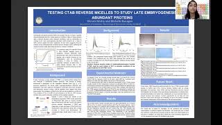 TESTING CTAB REVERSE MICELLES TO STUDY LATE EMBRYOGENESIS ABUNDANT PROTEINS