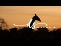Destination Safari Bukela Game Lodge Destination Safari Bukela Game Lodge