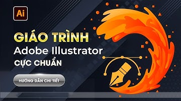Học Illustrator Từ A-Z: Lộ Trình Hoàn Chỉnh Cho Người Mới Bắt Đầu!