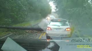 Trees Falling Compilation #4