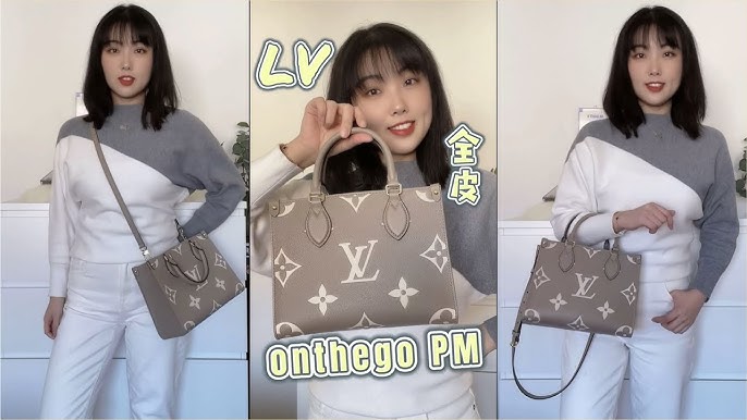 lv onthego pm bicolor