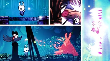 Major Hollow Knight Oversights