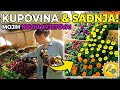 🌸Kupovina cvijeća + uređenje balkona 🌸 | Sadnja cvijeća i luka u saksije 🌿