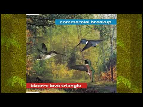 COMMERCIAL BREAKUP  - Bizarre Love Triangle