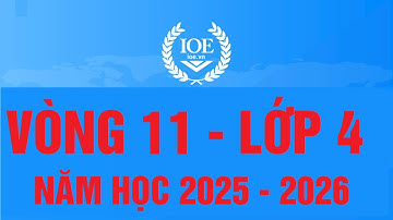 Đáp án IOE Tiếng Anh lớp 4 vòng 11 năm học 2025-2026