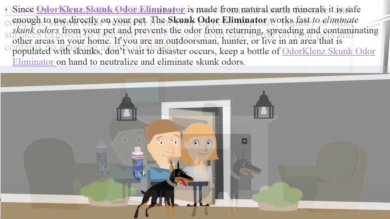 How To Remove Skunk Smell From Your Dog - YouTube