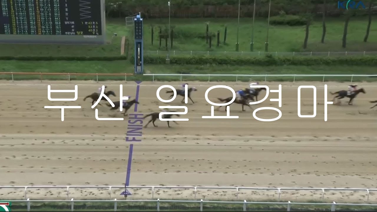 부산경마🎯부산경마🥇부산경마예상💥부산경마🔵부산경마예상,김남성경마예상,경마예상방송,경마예상,경마예상김남성,경마김남성,경마방송,일요 경마 예상,부산경마예상,부산경마,경마예상방송김남성