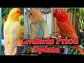 PaleFallow|Opaline Price Update|Asia's Finest Breeder