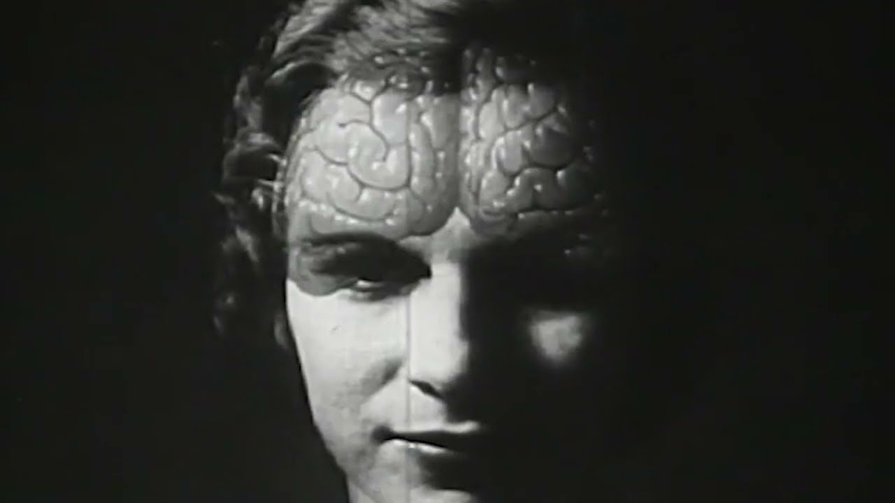 A Thousand Mad Things - Wide Awake (Official Visualizer)