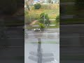 CARS SLOW MOTION Shorts 