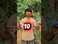 Paper plane experiment for ₹10. #shorts