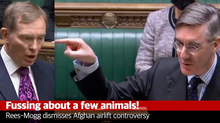 Fussing about a few animals! Rees-Mogg dismisses A...