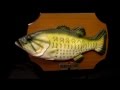 Gemmy billy bass  animatronic fish singing dont worry be happy.