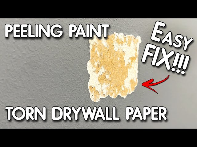 Beat That Peeling Paint - Removing Paint in Sheets Made Easy 3 sddefault