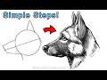 Easy Way to Draw a German Shepherd in Charcoal