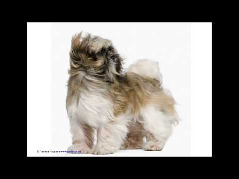 Испанский язык. Урок "Погода". Часть 1