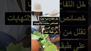 لدغات البعوض - حل سحري سريع و فعال للدغات البعوض #shorts