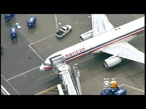 Bird Strike Forces Plane to Return to JFK: Port Authority