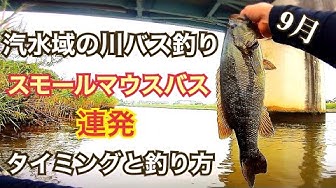 川スモール Youtube