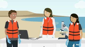 Monitoring microbial hazards of shellfish using nanopore sequencing