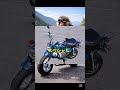 #HONDA#monkey