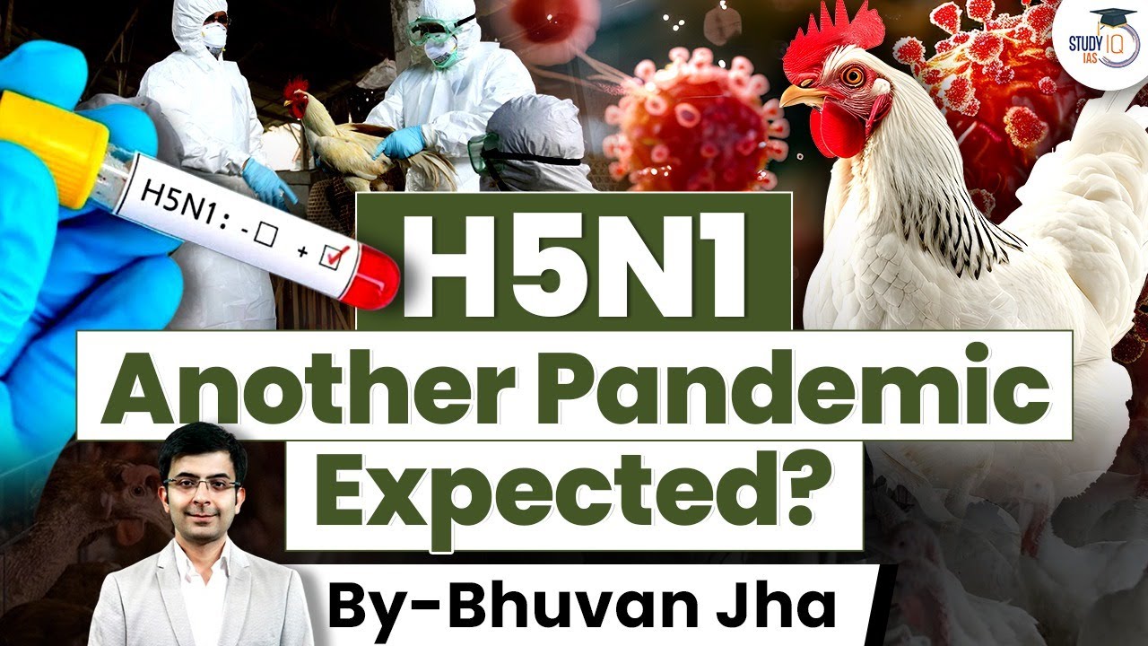 How H5N1 Bird Flu is Devastating Wildlife and Threatening Biodiversity ...