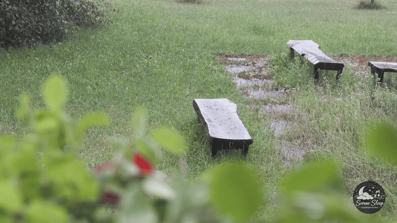 Deep Relaxation Music & Slow Night Ambience for Stress  – Calm Your Thoughts Now