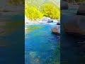 Fresh water stream video. Swimming in cold water.