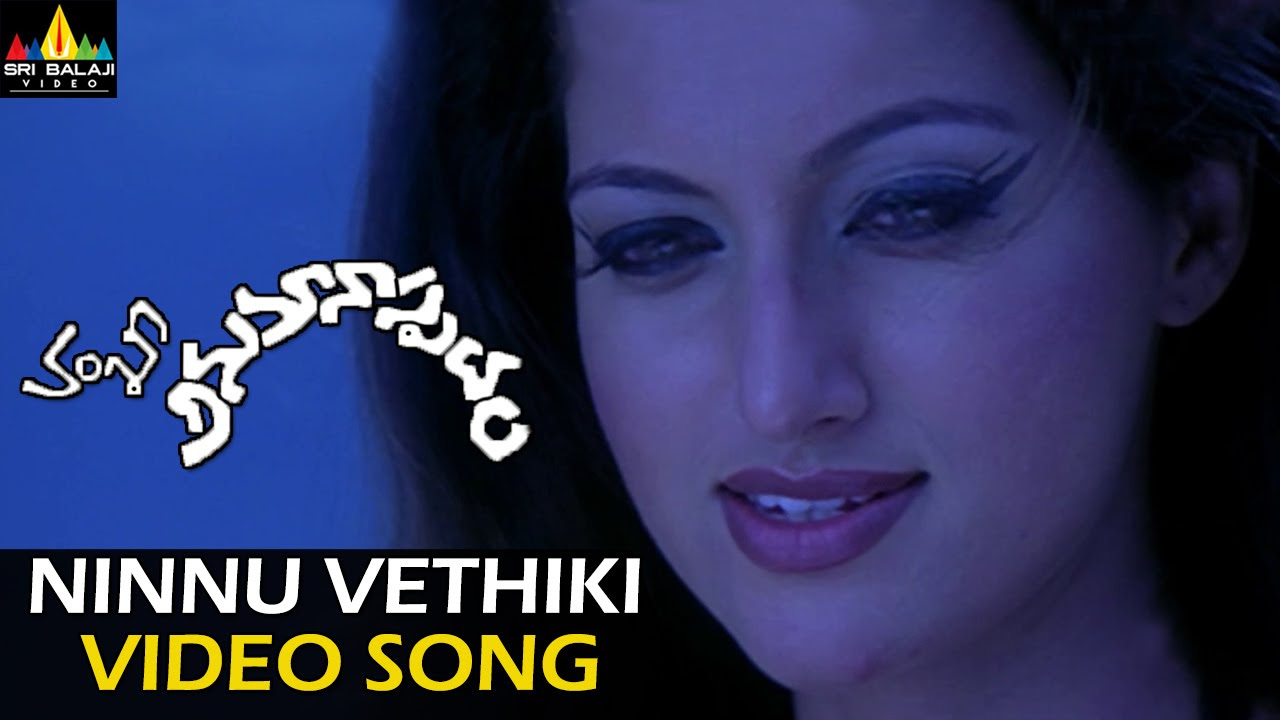 Anumanaspadam Video Songs  Ninu Vethiki Vethiki Video Song  Aryan Rajesh Hamsa Nandini