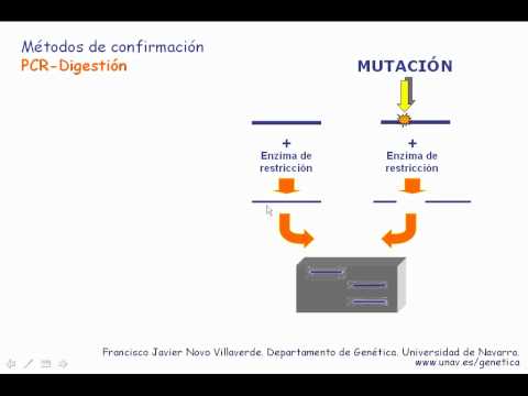 Video: ¿Cómo puedo comprobar el estado de mi mutación en Bihar?