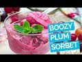 Roasted Plum & Pinot Noir Sorbet