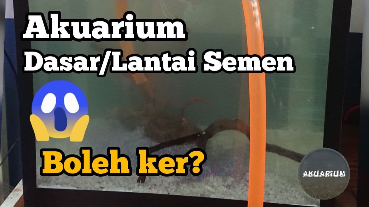 Akuarium Dasar Semen | A to Z