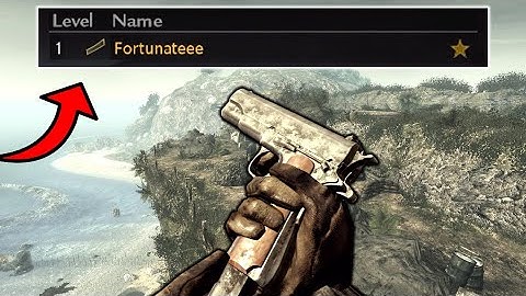 Call Of Duty World At War ROAD TO COMMANDER (LvL 1)