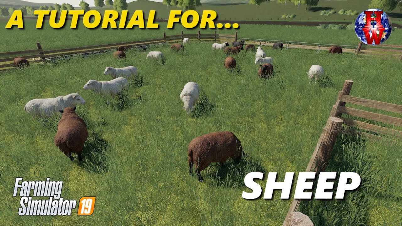 Sheep Farming Simulator 19 Fs19 Sheep Tutorial Youtube