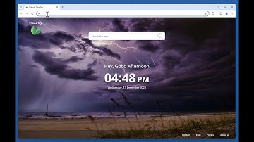 Naturey New Tab browser hijacker - how to remove?
