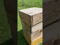 Beekeeping FOR FREE. …. Nahezu gratis lassen sich auf diese Weise Bienen halten. #imkerei #beekeeper