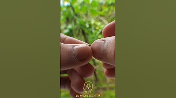 സിമ്പിൾ മാജിക്ക് Match Box Magic Trick Revealed #shorts #techmaster#m4tech#youtubeshort #Ebullet