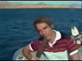 CBS News Bob Simon with National Geographic in the Red Sea -- Save the Sharks