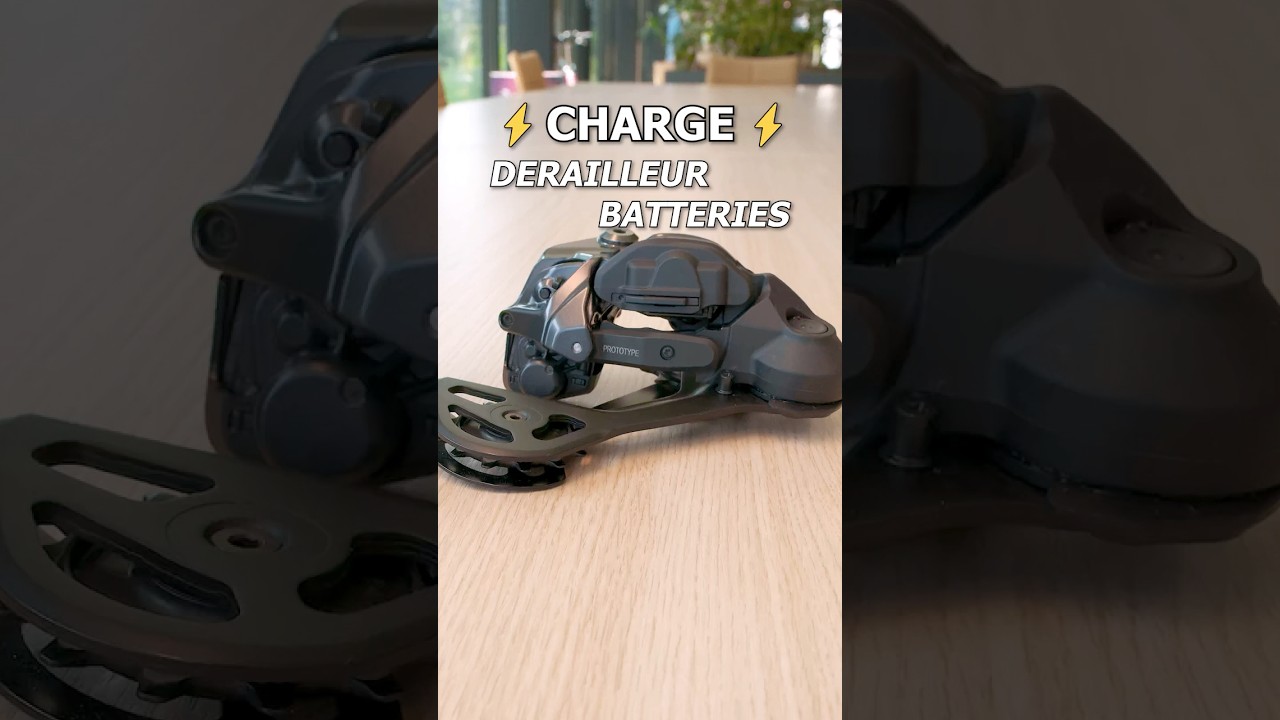 RD-RX827-SGS Long Cage Rear Derailleur (12-speed) Details