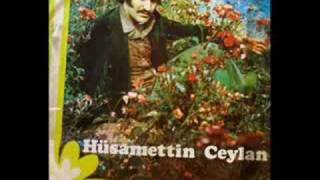 Hüsamettin ceylan-1981-hasta gönlüm Resimi