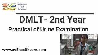 Practical of Urine Examination screenshot 5