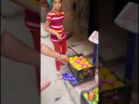 يا بخت اللي يلحق