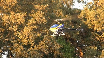 T-Rex450 Pro - First Flip