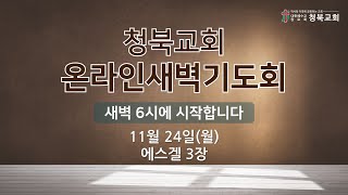 2025년 11월 25일(화) 새벽예배